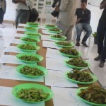 The eight varieties of wing bean, both cooked and uncooked, ready for tasting