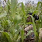 Domingas Dejues stands amongst her Sele maize crop
