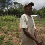 January Da Costa at a MAF-SOL demonstration farm outside Aileu town.