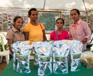 Cassava_Chip-1