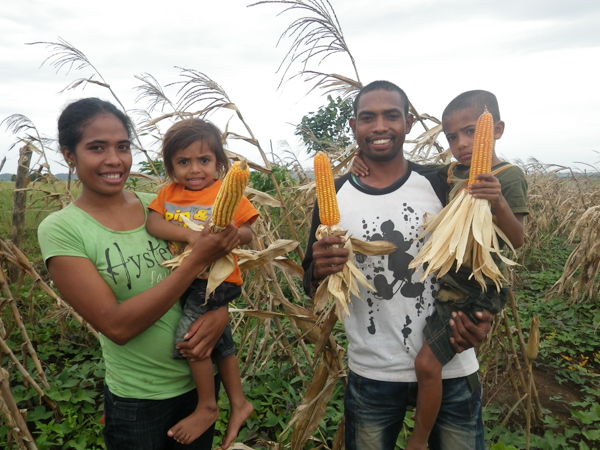Lino and his family are part of a commercial seed producer group in Los Palos, growing and selling quality Sele seed © Unknown/Seeds of Life