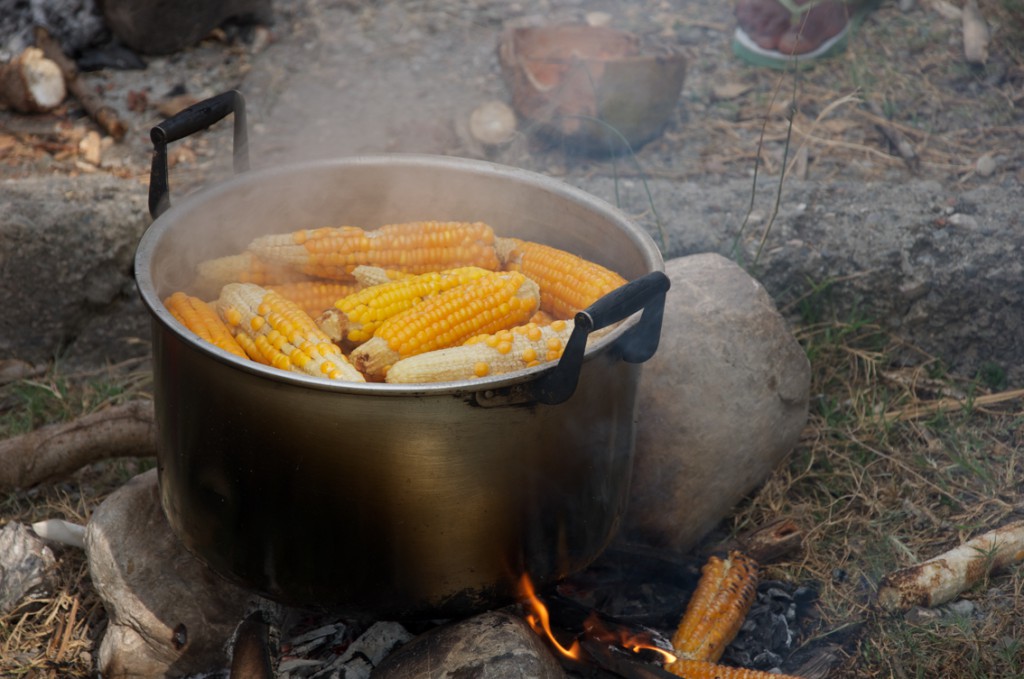 Sele maize is sweet and delicious when eaten soon after harvest © Unknown/Seeds of Life
