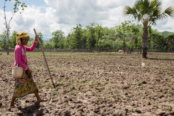 Due to a possible late start to the 2014 rainy season, farmers are advised to be cautious with their crop planting © Alexia Skok/Seeds of Life