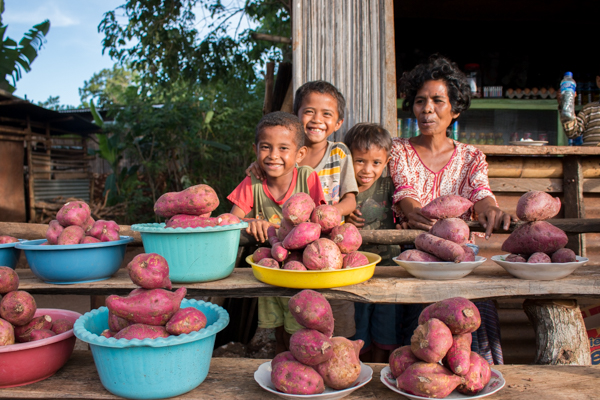 This farming family in Baucau districts sells sweet potatoes at a roadside stall © Yessy Octaviana/Seeds of Life