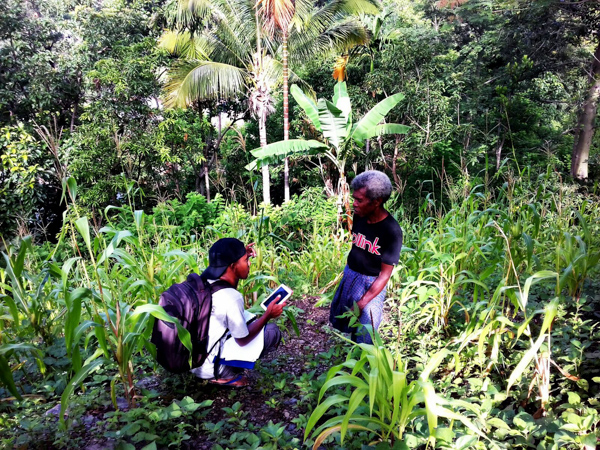 Simao (enumerator) interview one of the farmer in the field